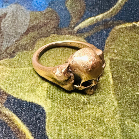 Sinister Sepulcher Skull Ring in Bronze by Julian the 2nd