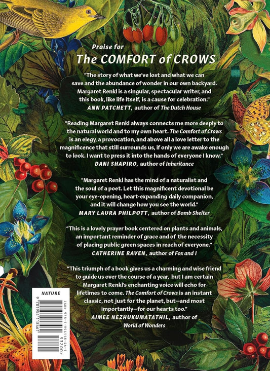 The Comfort of Crows (Hardcover)