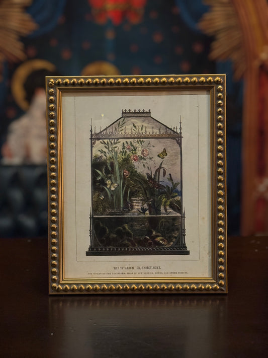 Vivarium Vintage bookplate framed - 12x16