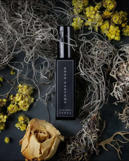 Rose Fantome Eau de Parfum - rose, immortelle, cèpes