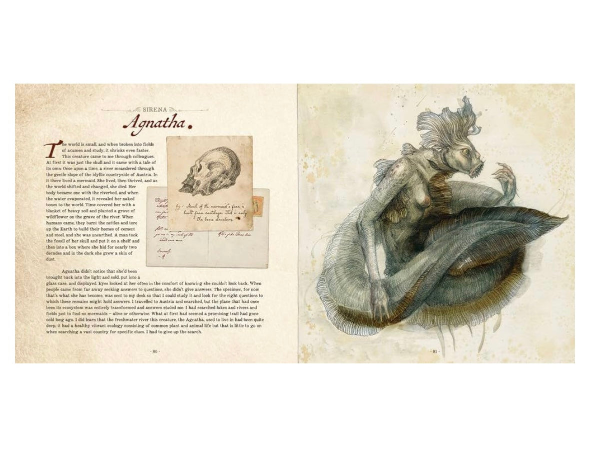 Dr. C. Lillefisk’s Sirenology by Jana Heidersdorf (Hardcover)