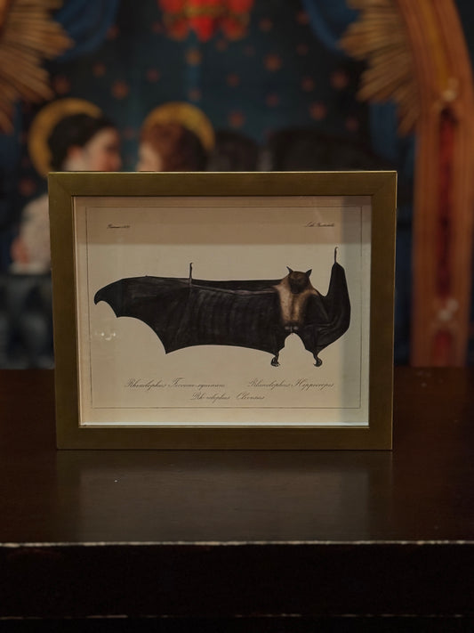 Vintage Bat Bookplate