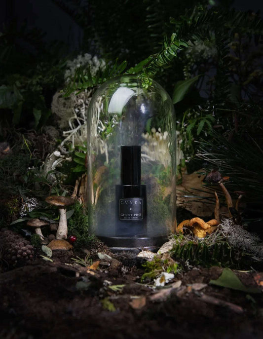 Ghost Pine Parfum Botanique - pine needles, wet leaves, moss, wood