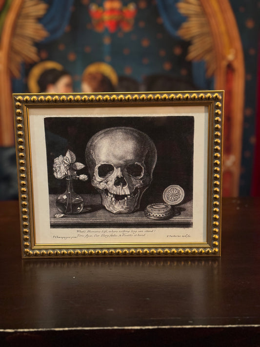 Vintage skull drawing
