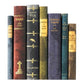 Gothic Horror Classics Book Set