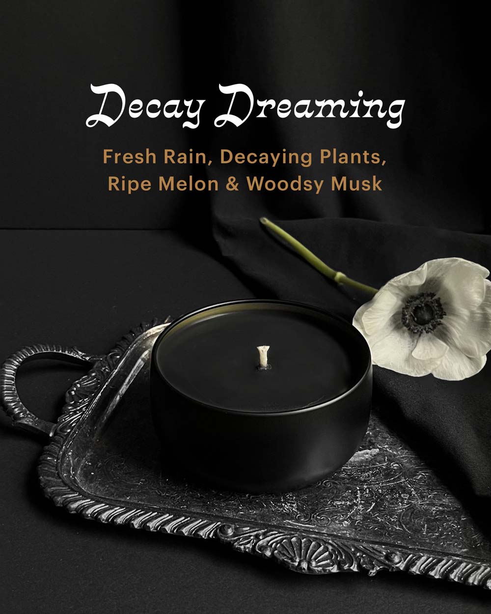 Decay Dreaming ~40hr Candle (Fresh Rain & Musk) by Graveyard Wanders