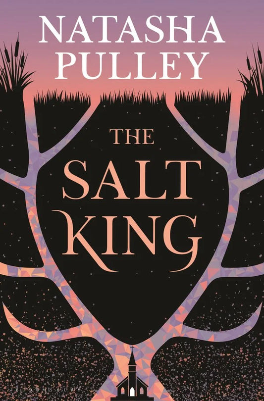 The Salt King by Natasha Pulley (Hardcover)