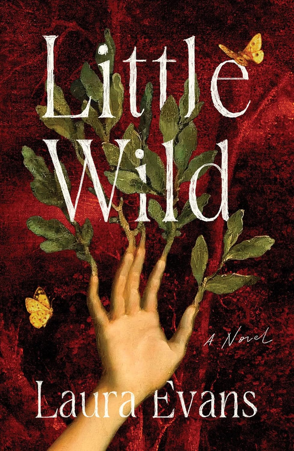 Little Wild by Laura Evans (Hardcover)