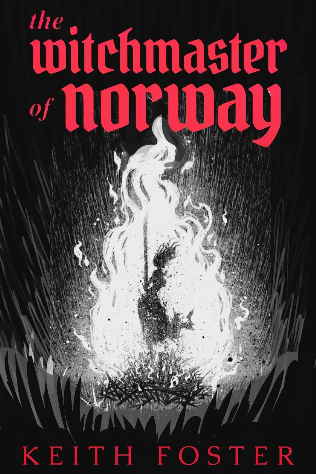 The Witchmaster of Norway By Keith R Foster (Paperback)