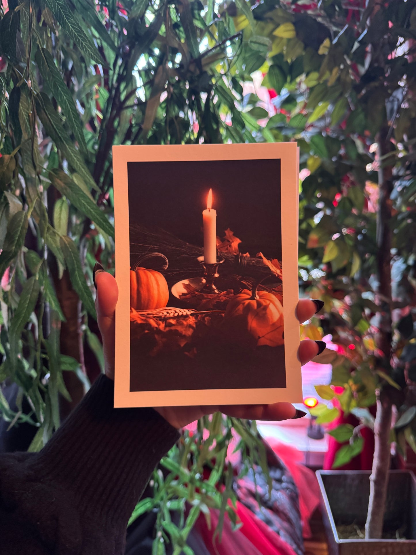 Alyssa Thorne Postcard