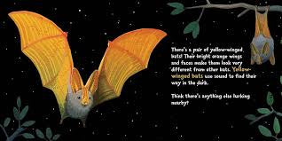 What Lurks In The Dark? by Kelly Ward-Wills (Hardcover)