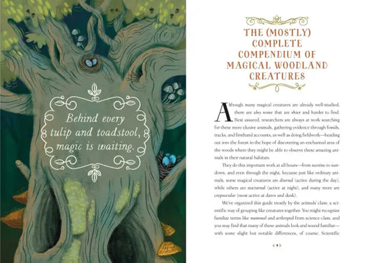 How To Spot A Magical Woodland Creature by Sarah Glenn Marsh (Hardcover)