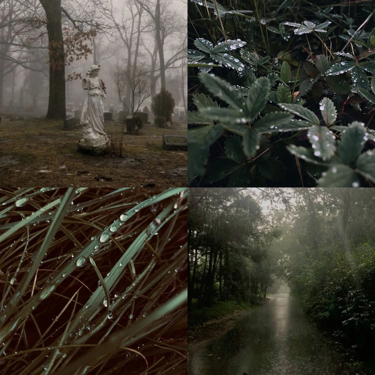 Six Feet Under Perfume Balm by Last Rites