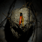 Beekeeper by Heretic Parfum