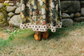 I Dream in Flowers Bohéme Maxi Slip Dress w/ Bees
