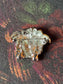 Medusa Brooch