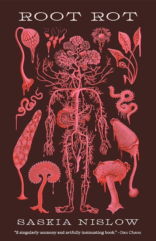 Root Rot by Saskia Nislow (Paperback)