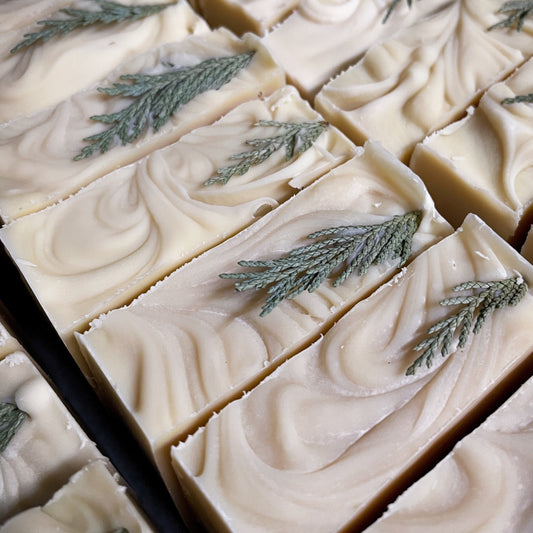 The Tree Botanical Soap - Black Moon Botanics