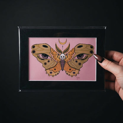 Erin Survilas 5x7 Prints