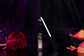 Our Darling Lip Gloss