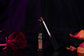 Our Darling Lip Gloss