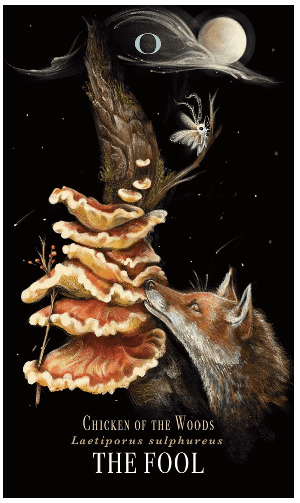 Midnight Magic: A Tarot Deck of Mushrooms