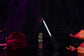 Our Darling Lip Gloss