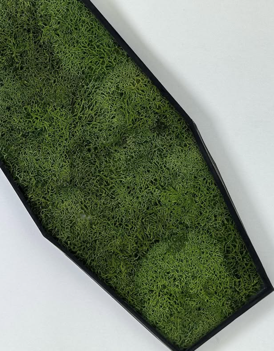 Glass Moss Coffin Incense Holder