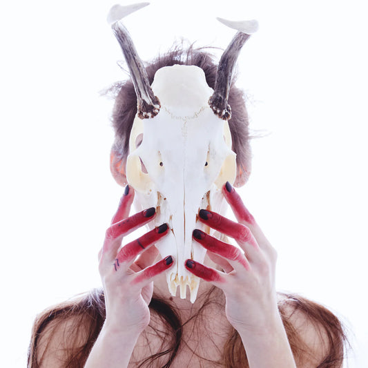 Forbidden Lipstick: Written in Blood