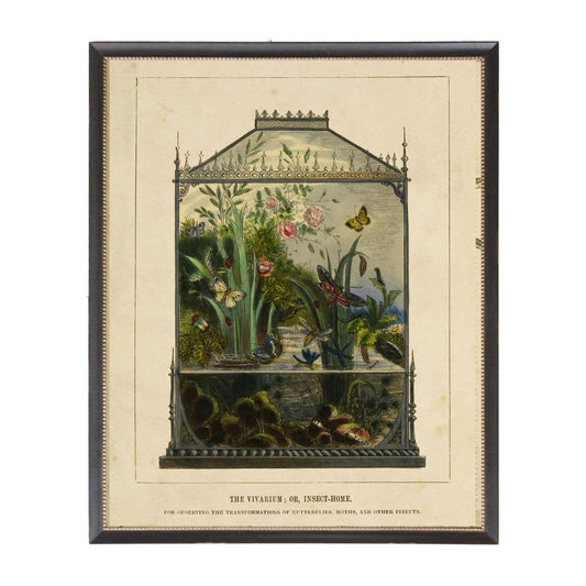 Vivarium Vintage bookplate framed - 12x16