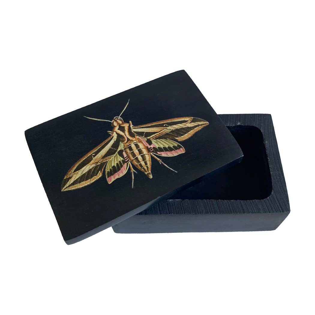 Sphinx Moth Black Soapstone Trinket Box