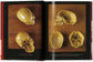 Anatomical Waxes. 45th Ed. (German, French, English)