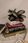 Jane Austen Stacked Book Planter