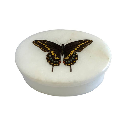 3" & 4" Eastern Black Swallowtail Butterfly Oval Soapstone