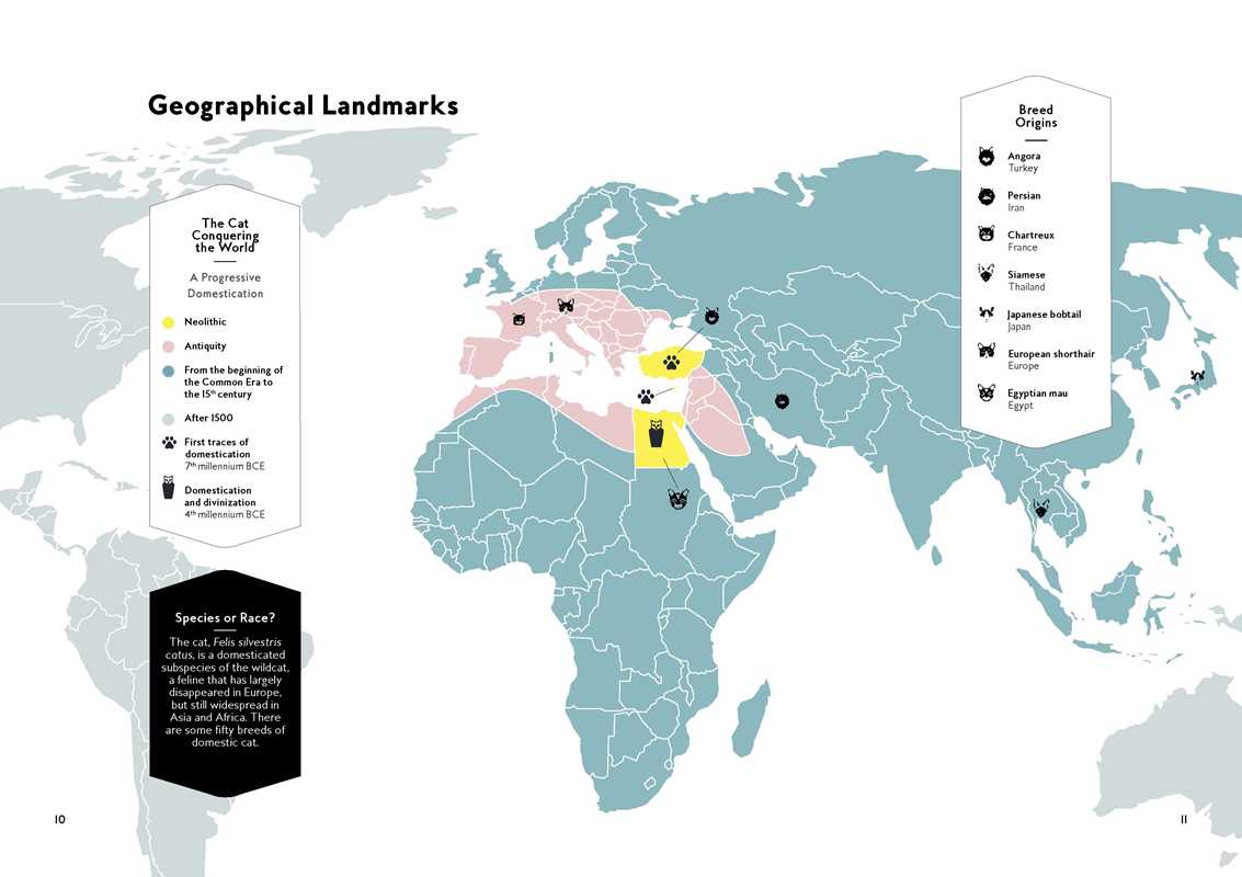 Cats in Art by Alix Paré (Hardcover)