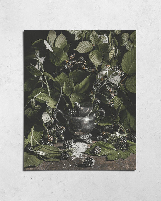 Blackwood Fine Art Print by Alyssa Thorne