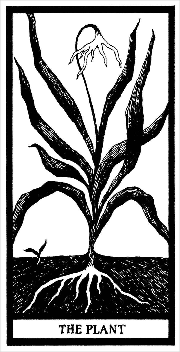 The Fantod Pack by Edward Gorey