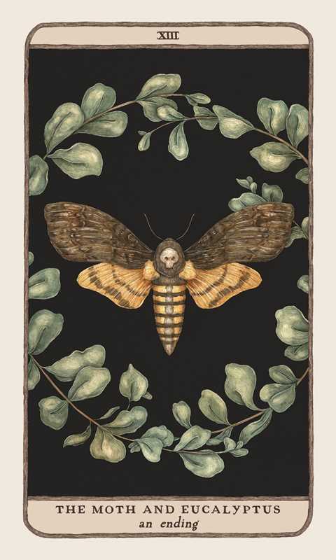 Woodland Wardens Oracle Deck by Jessica Roux
