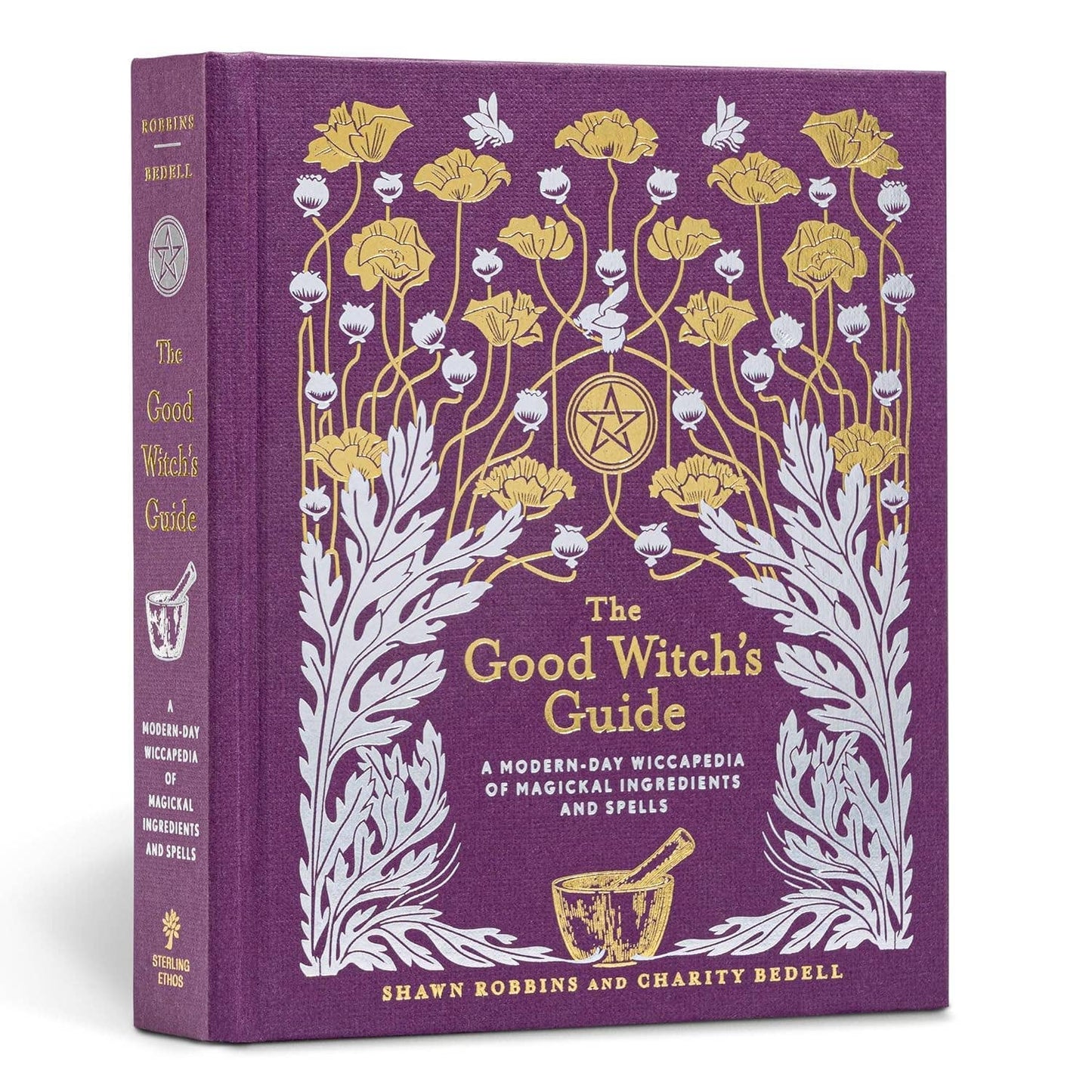 The Good Witch's Guide by Shawn Robbins (Hardcover)