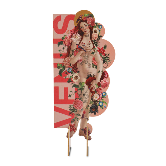 Venus Bookmark Silhouette