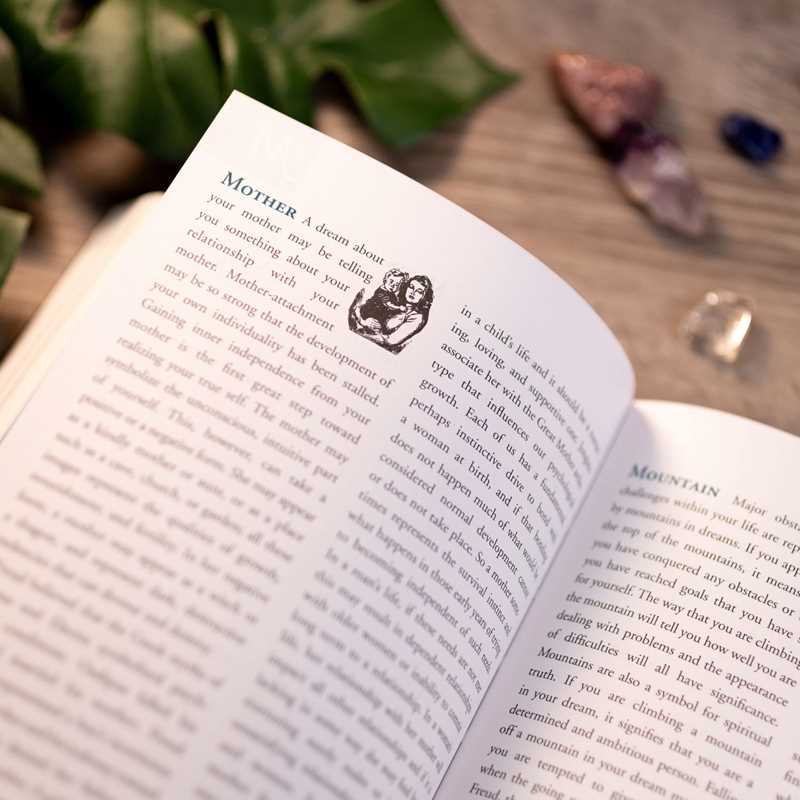 The Dream Dictionary by Theresa Cheung (Paperback