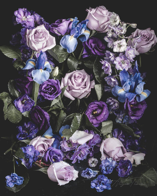 Oasis Fine Art Print by Alyssa Thorne