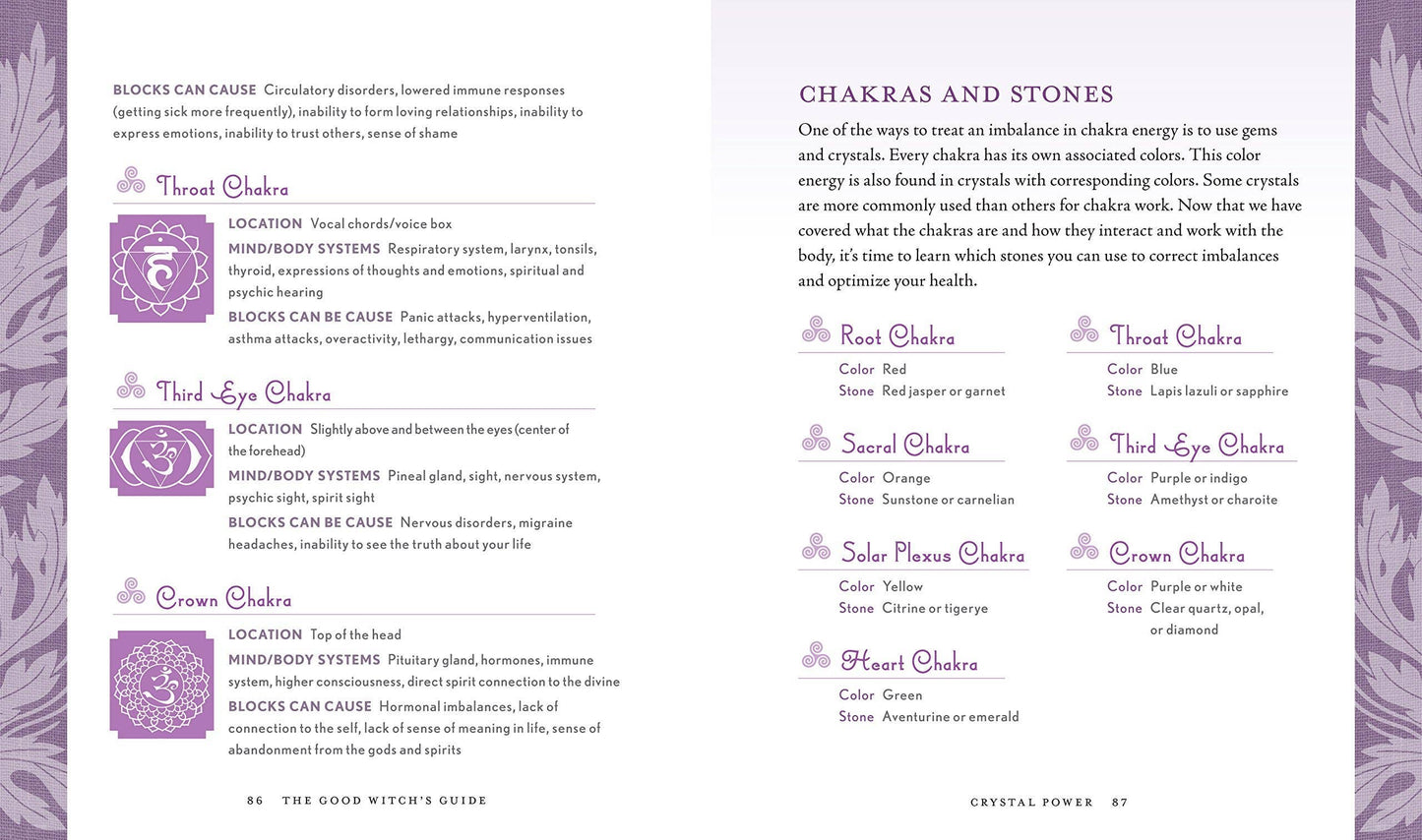 The Good Witch's Guide by Shawn Robbins (Hardcover)