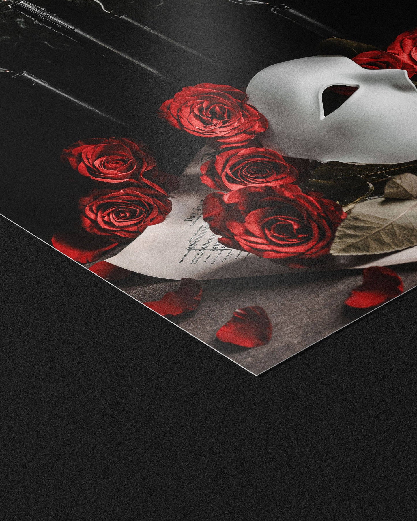 Music Of The Night Fine Art Print by Alyssa Thorne