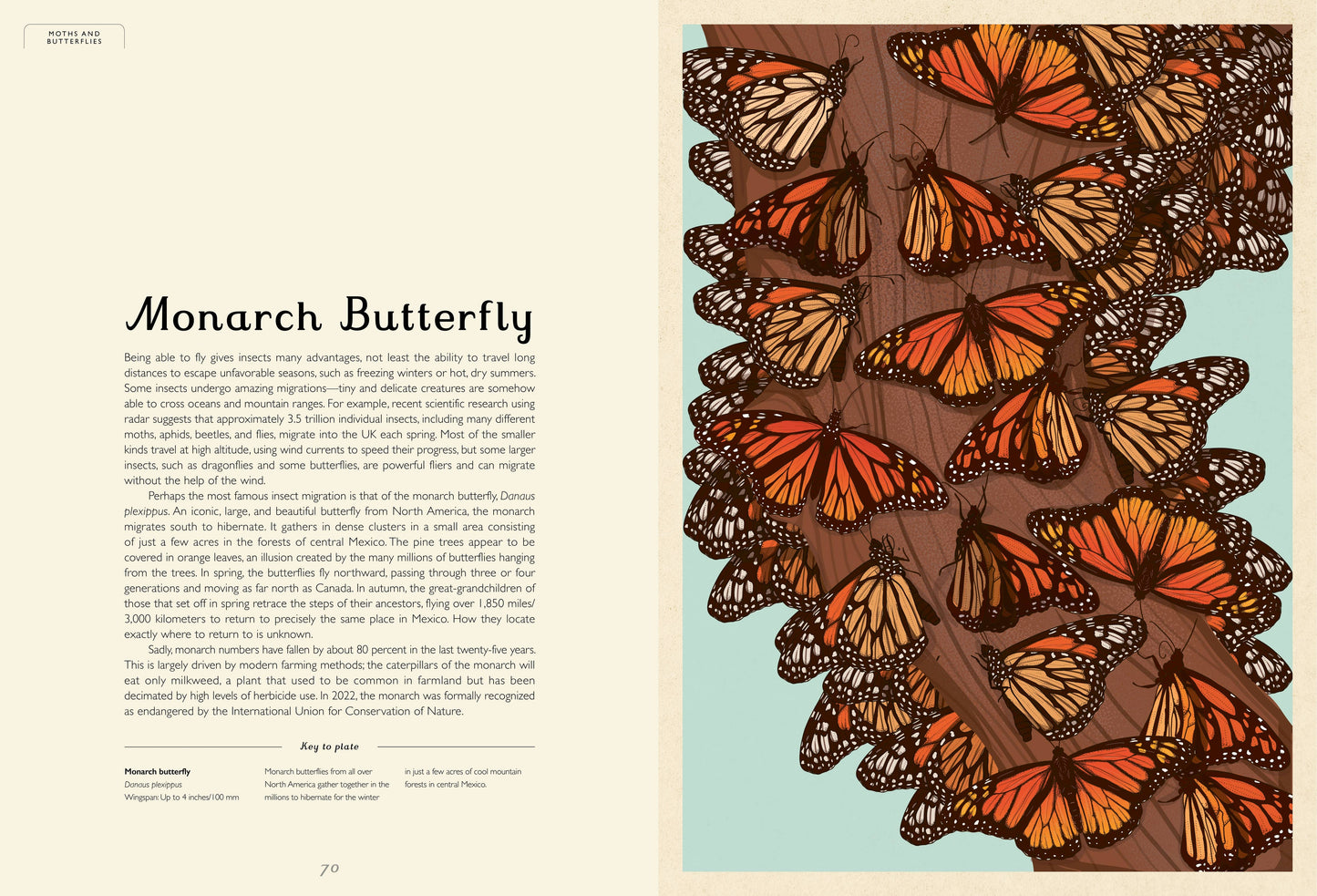 Insectarium (Hardcover)