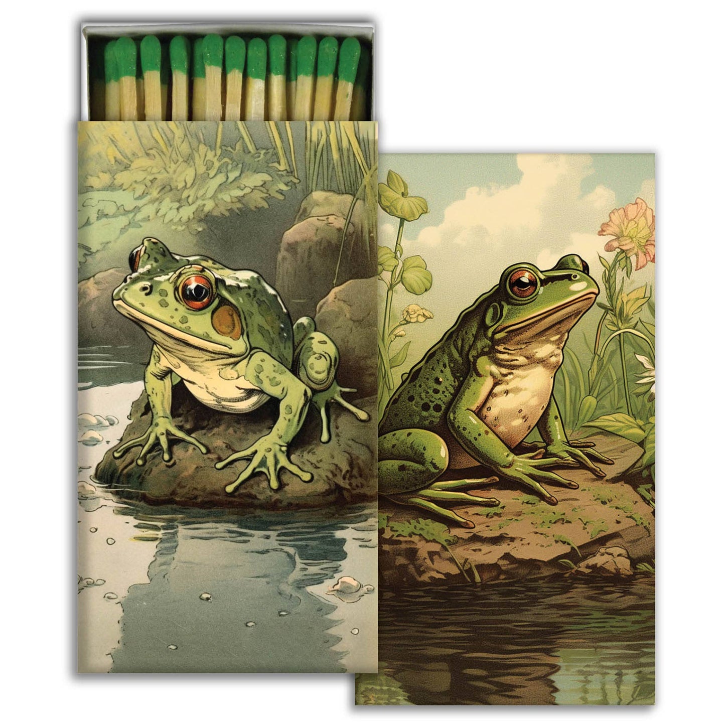Match - Vibrant Toads
