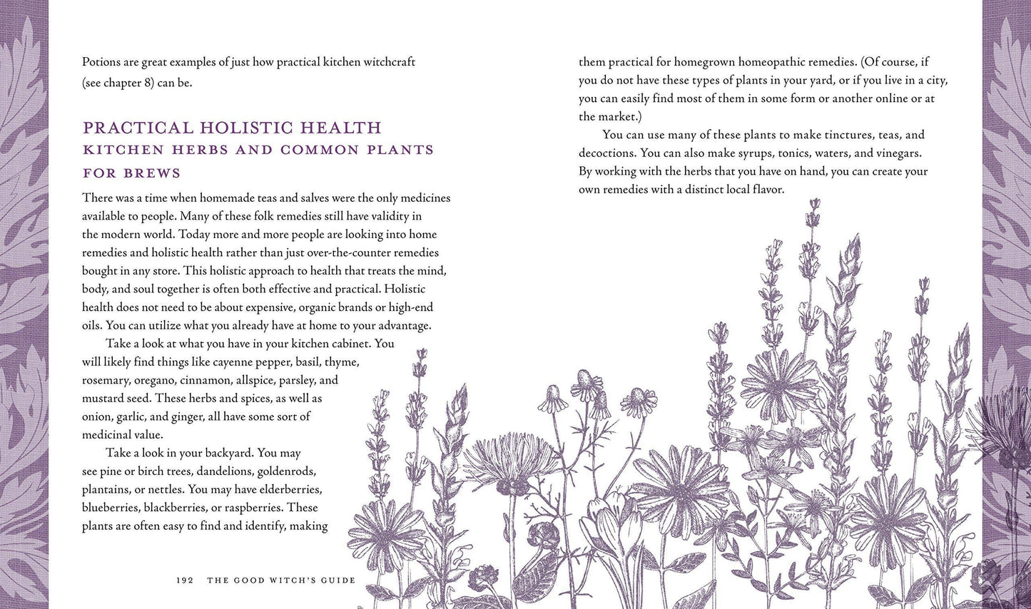 The Good Witch's Guide by Shawn Robbins (Hardcover)