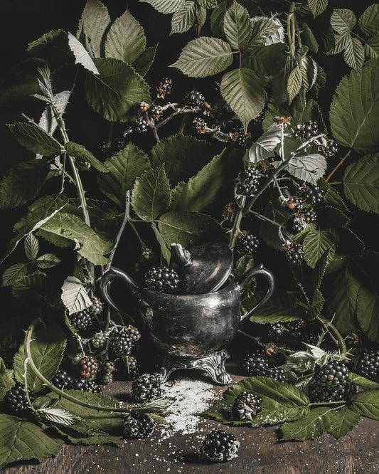 Blackwood Fine Art Print by Alyssa Thorne