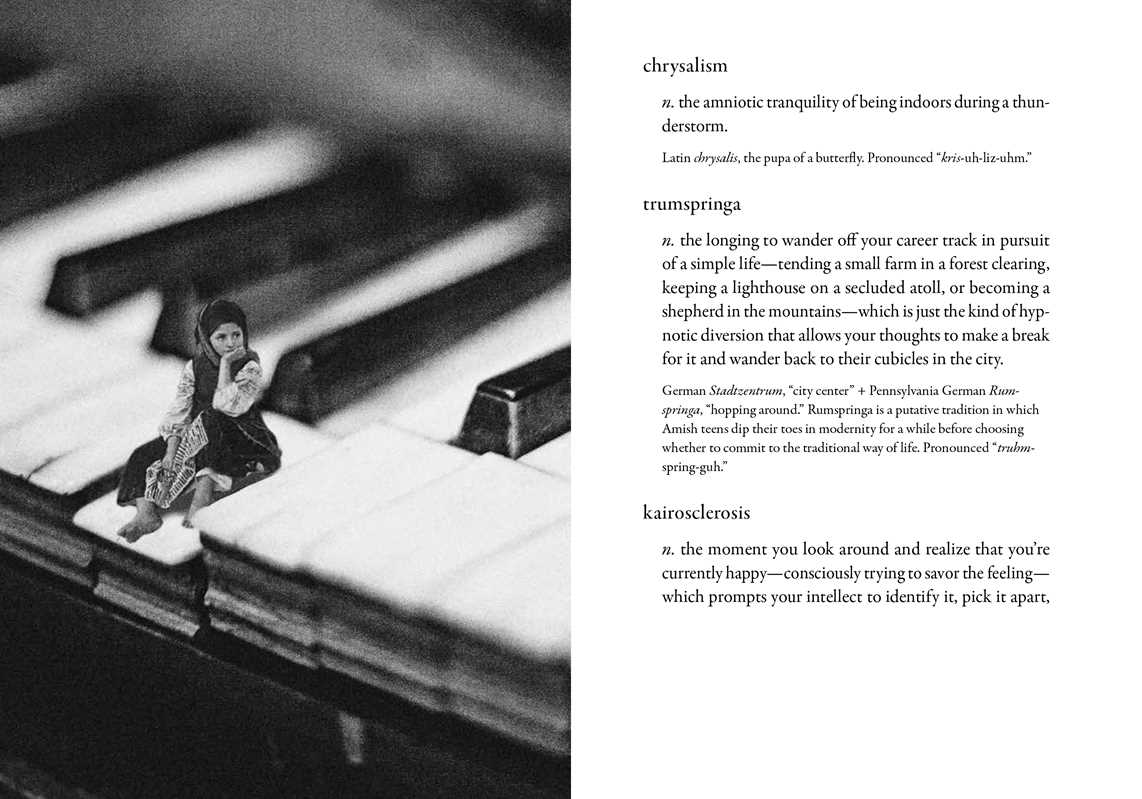 Dictionary of Obscure Sorrows by John Koenig