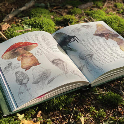 Faeries of the Faultlines by Iris Compiet (Hardcover)